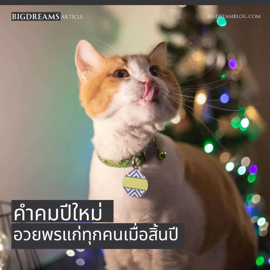 คำคมปีใหม่ คำคมคริสต์มาส คำคมสิ้นปี คำอวยพรปีใหม่